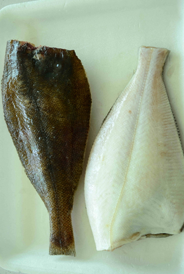 冻鲽鱼