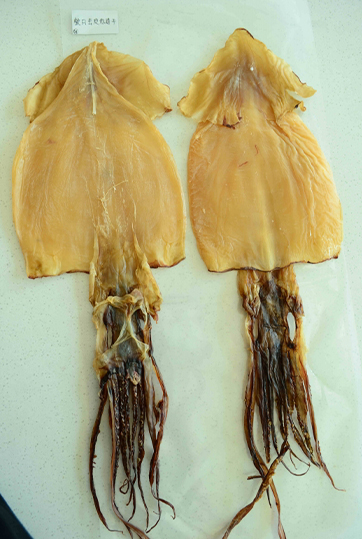 整只赤道干去皮