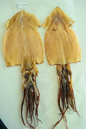 整只赤道干去皮